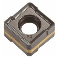 SZMU 080408PNTR GG