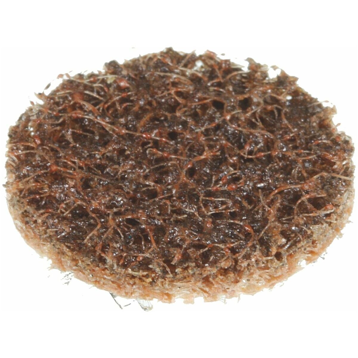 Slipnylonrondell, finish SC-DR ⌀ 25,4 mm