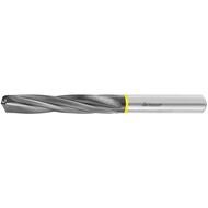 HM-HPC-borr cylindriskt skaft DIN 6535 HA 10 mm