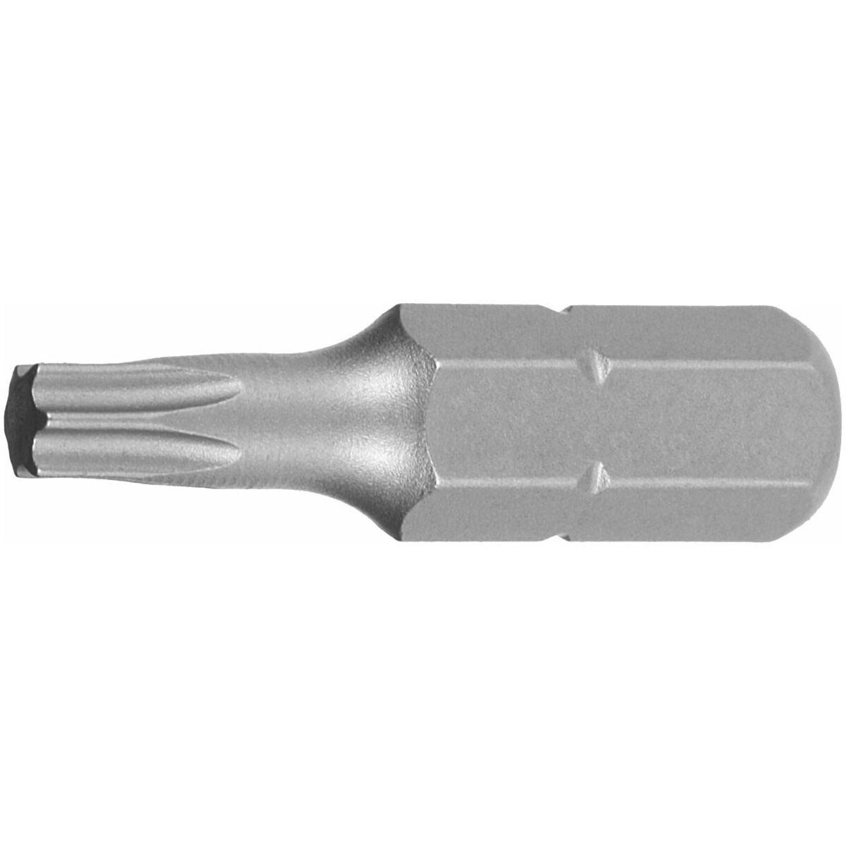 Bitsset för Torx®, 1/4 tum C 6,3 Sats med 30 bits