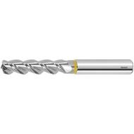 HM-torusfräs TPC 6/1,0 mm