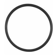 O-Ring 40