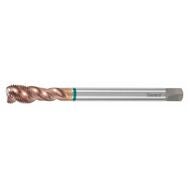 GARANT Master Tap maskingängtapp HSS-E-PM Form E G1/4