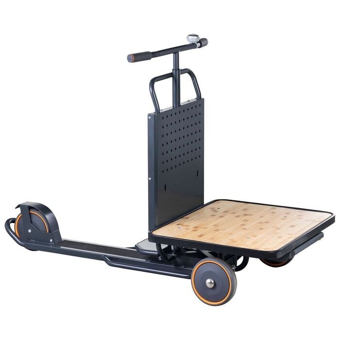 Cargo Scooter CS