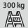 Bärförmåga stegteknik: 300 kg