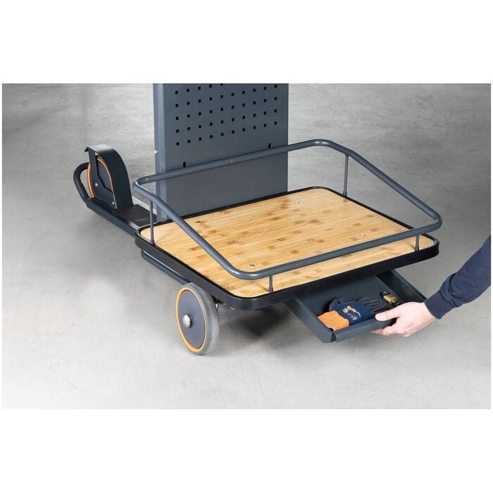Cargo Scooter CS