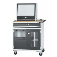 Datorarbetsstation med skrivarlucka, rullbar