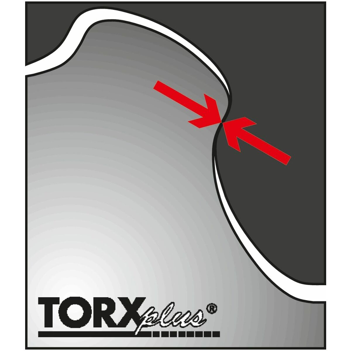 Skruvdragarsats, för Torx Plus® 8