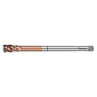 GARANT Master Tap maskingängtapp extra lång HSS-E-PM form C AlTiX