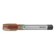 GARANT Master Tap maskingängtapp HSS-E-PM 5/8-11