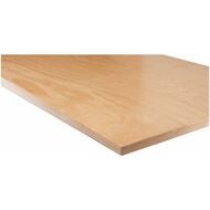 GARANT GreenPlus arbetsskiva, tjocklek 25 mm av Multiplex-bok djup 750 mm