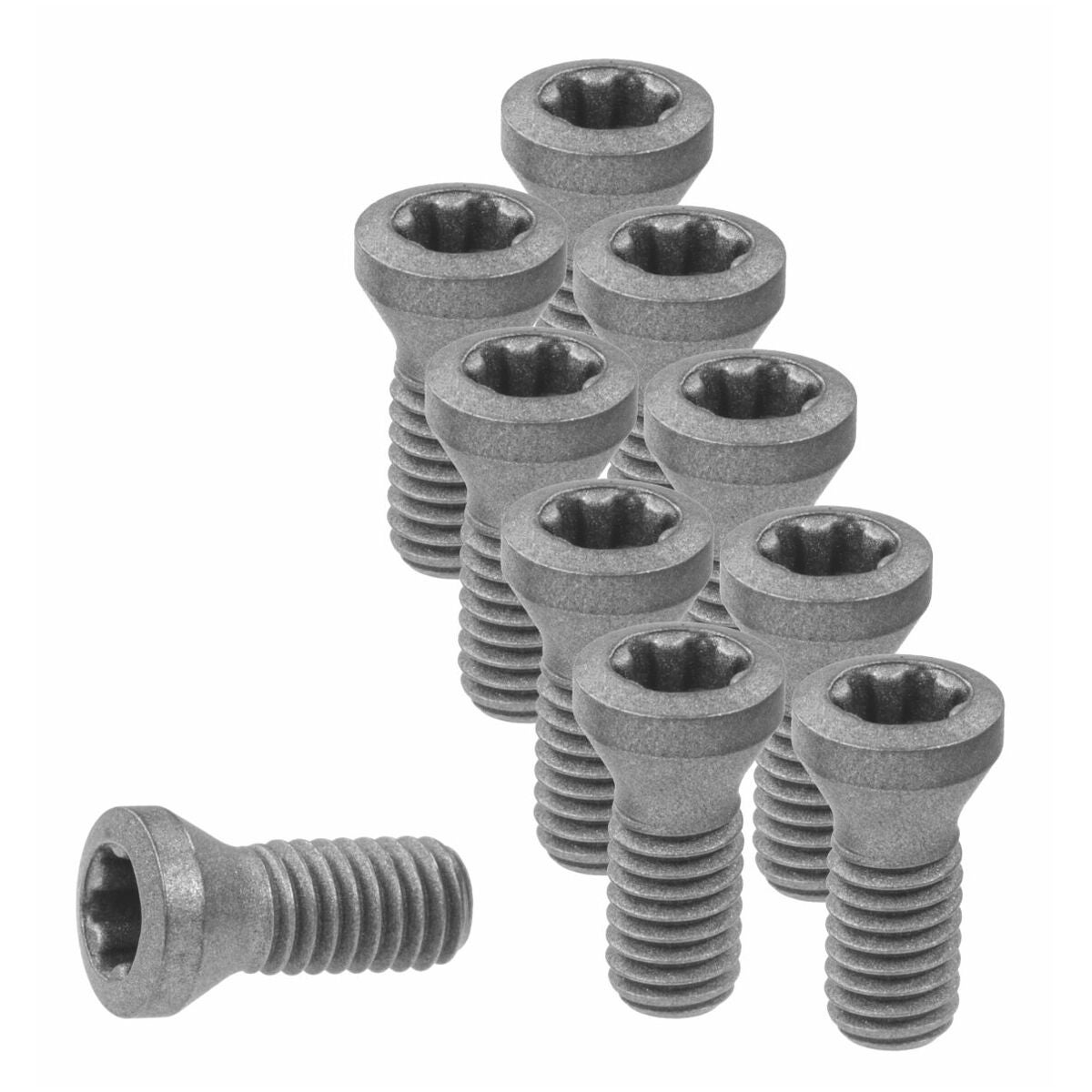 Vändskärsskruvsats 10 delar