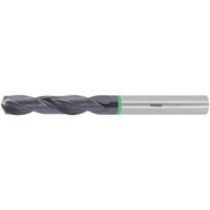 HOLEX Pro Steel HM-borr cylindriskt skaft DIN 6535 HA 3,6