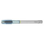 GARANT Master Tap INOX maskingängtapp M12