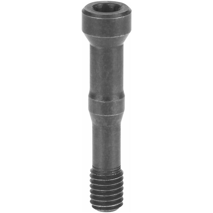 Torx Plus skruv 25IP