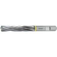 HM-HPC-borr cylindriskt skaft DIN 6535 HB DLC