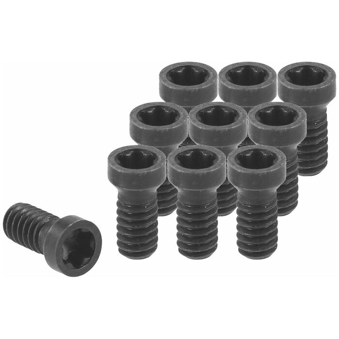 Torx Plus klämskruvsats 10 delar 6IP1