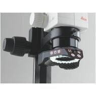 LED, 3000-ljus RL